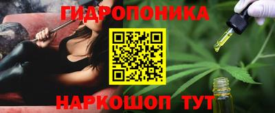 a pvp Обнинск