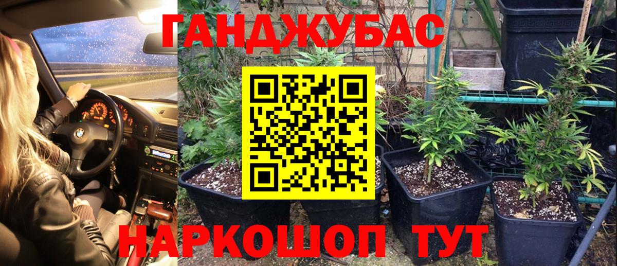 Каннабис OG Kush Ханты-Мансийск